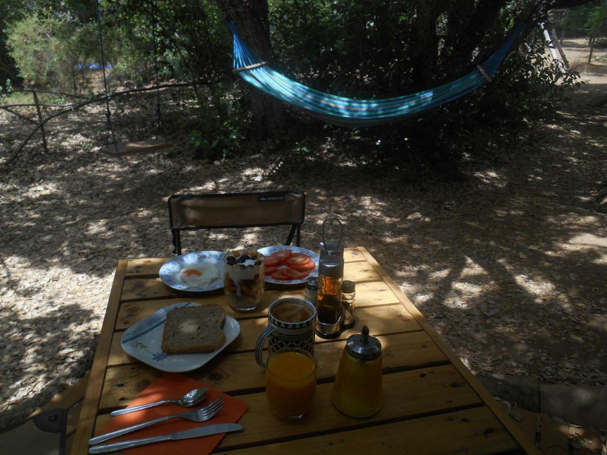 La Cabana Del Alcornoque 코르도바 외부 사진